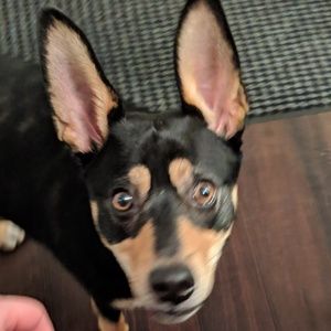 Meet your Posher, Ryan